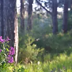 La Dans Les Pins 아파트 *