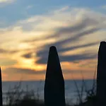 La Dans Les Pins