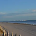 La Dans Les Pins *