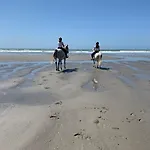 아파트 La Dans Les Pins