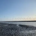 La Dans Les Pins 아파트 *