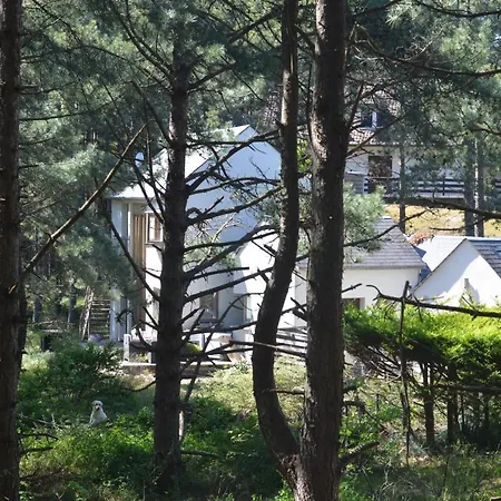 アパート La Dans Les Pins