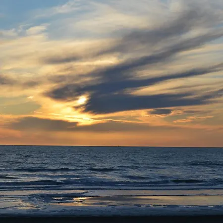 La Dans Les Pins アパート