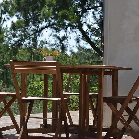 La Dans Les Pins * Quend