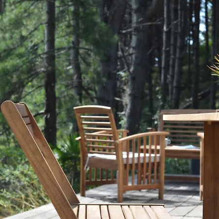 Apartment La Dans Les Pins *