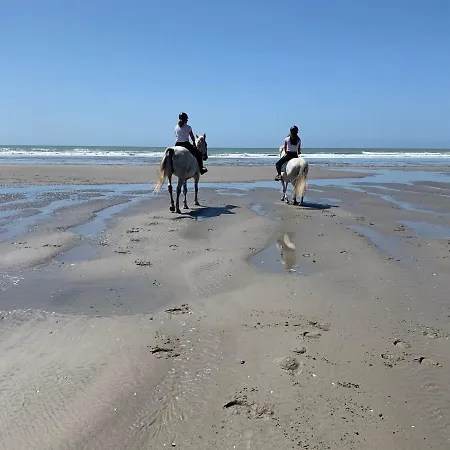 Apartment La Dans Les Pins