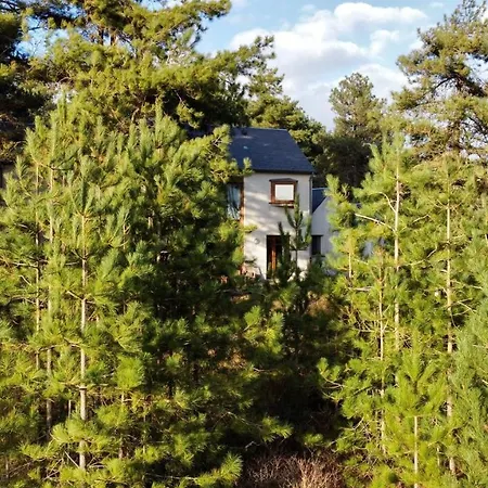 La Dans Les Pins Apartment Quend