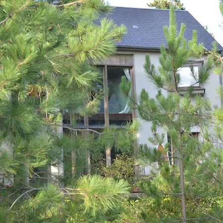 La Dans Les Pins カン