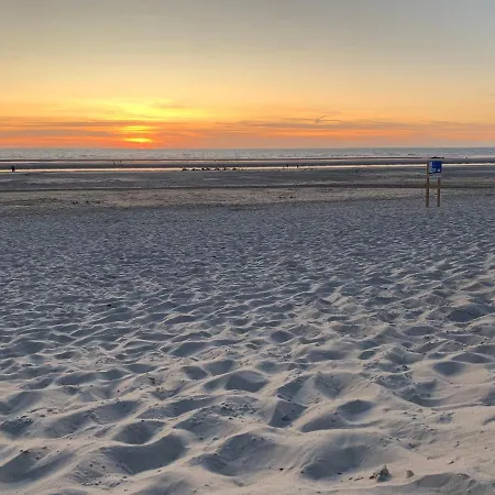 La Dans Les Pins Apartment *