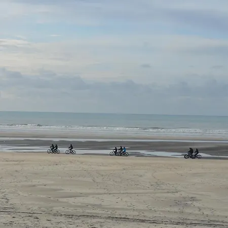 La Dans Les Pins